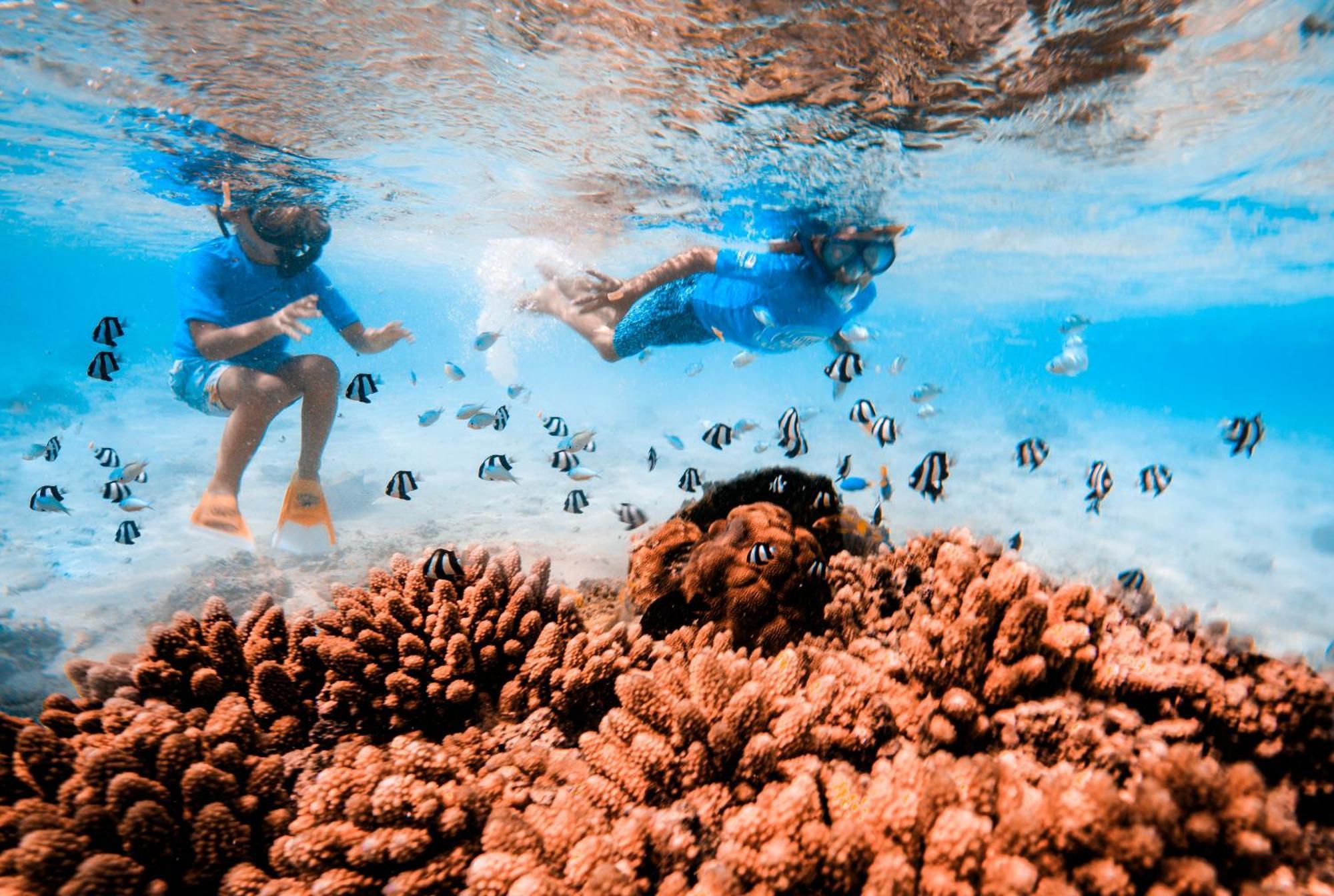 The Rarotongan Beach Resort & Lagoonarium Экстерьер фото
