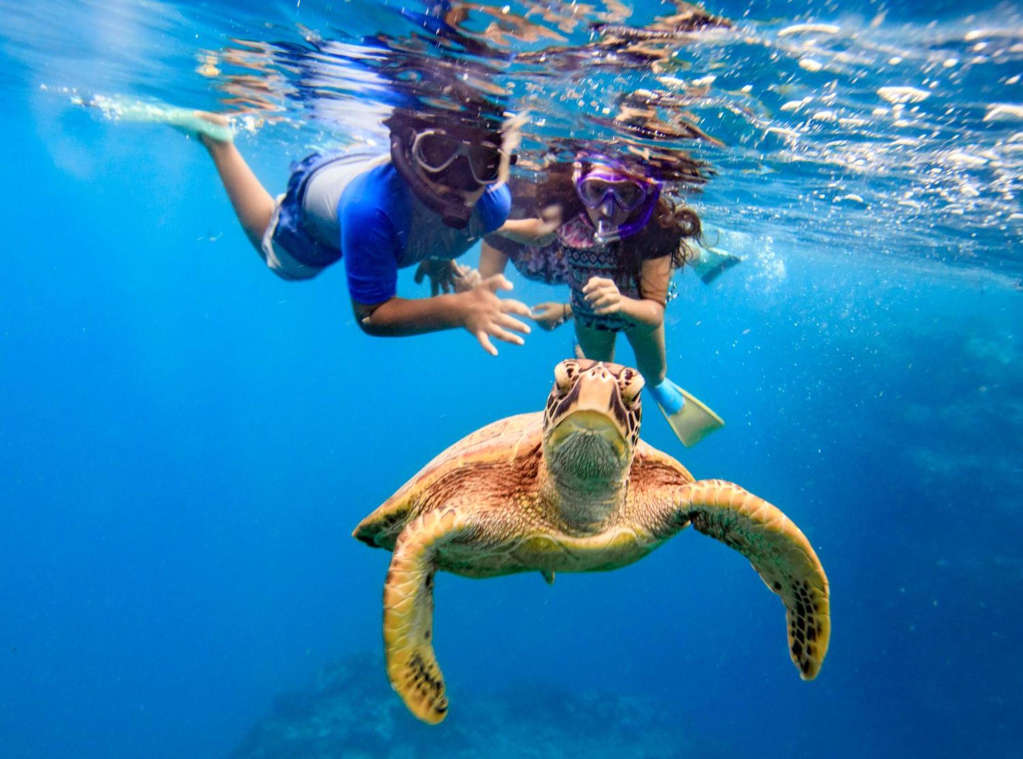 The Rarotongan Beach Resort & Lagoonarium Экстерьер фото
