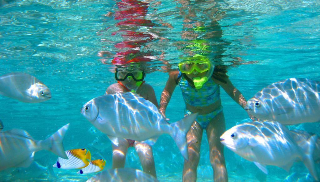 The Rarotongan Beach Resort & Lagoonarium Экстерьер фото